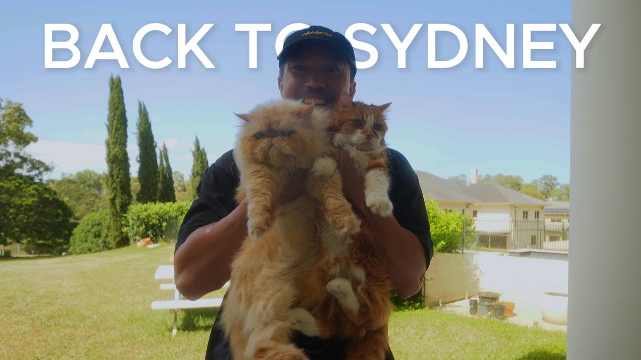 doing random things | back home to sydney (my life vlog 9)