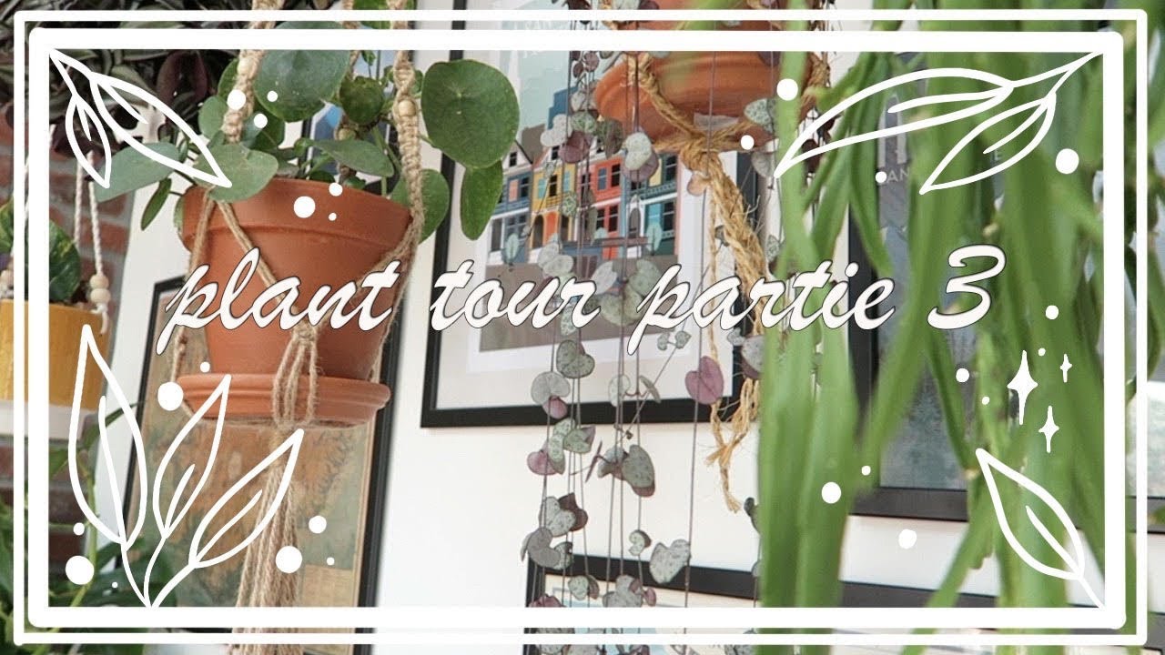 Plant tour 2020 la suite parentale