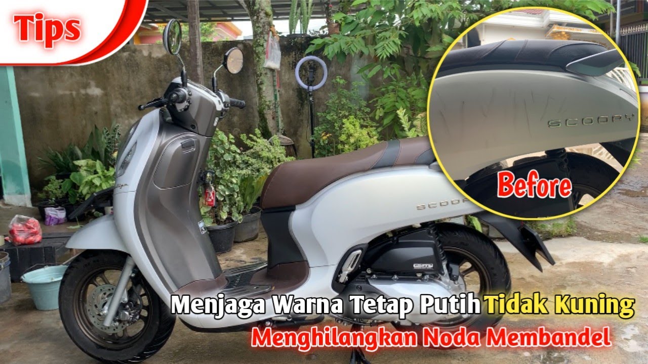Tutorial - Cara merawat body scoopy putih/white doff  prestige 2021 & 2022 tetap putih