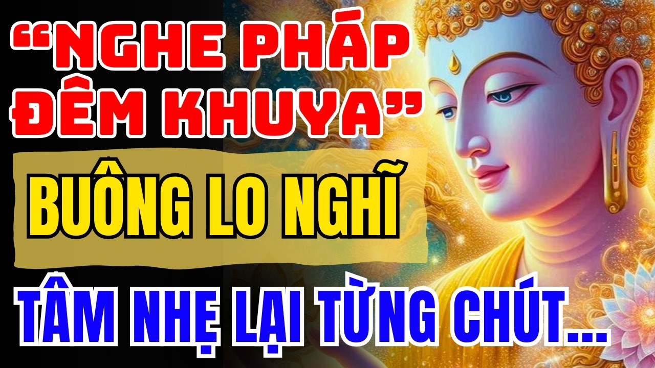 Nghe Pháp Đêm Khuya: Buông Lo Nghĩ, Tâm Nhẹ Lại Từng Chút