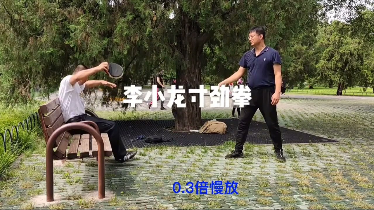 中华传统武术&mdash;&mdash;李小龙寸劲拳展示  #武术  #干货分享  #中华文化  #传承  #拳  #教学
