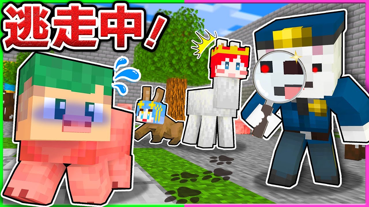 ペットに変身して24時間バレずに逃走中するマインクラフト🐾🔍💨『しんどうじ あおいコラボ』【まいくら・Minecraft】よろずや🍭