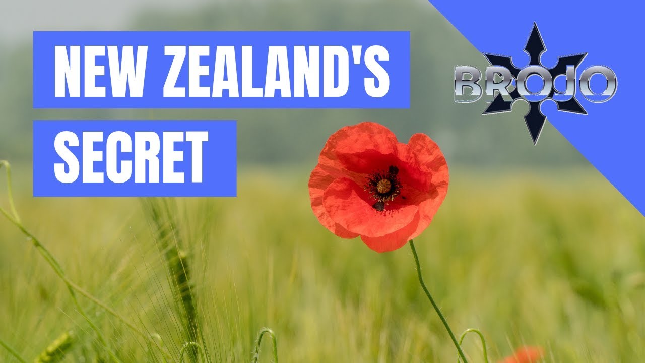 Tall Poppy Syndrome: New Zealand's dirty little secret