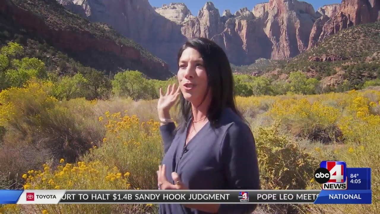 How much is Utah paying to keep Zion National Park open during the shutdown? Not as much as this non