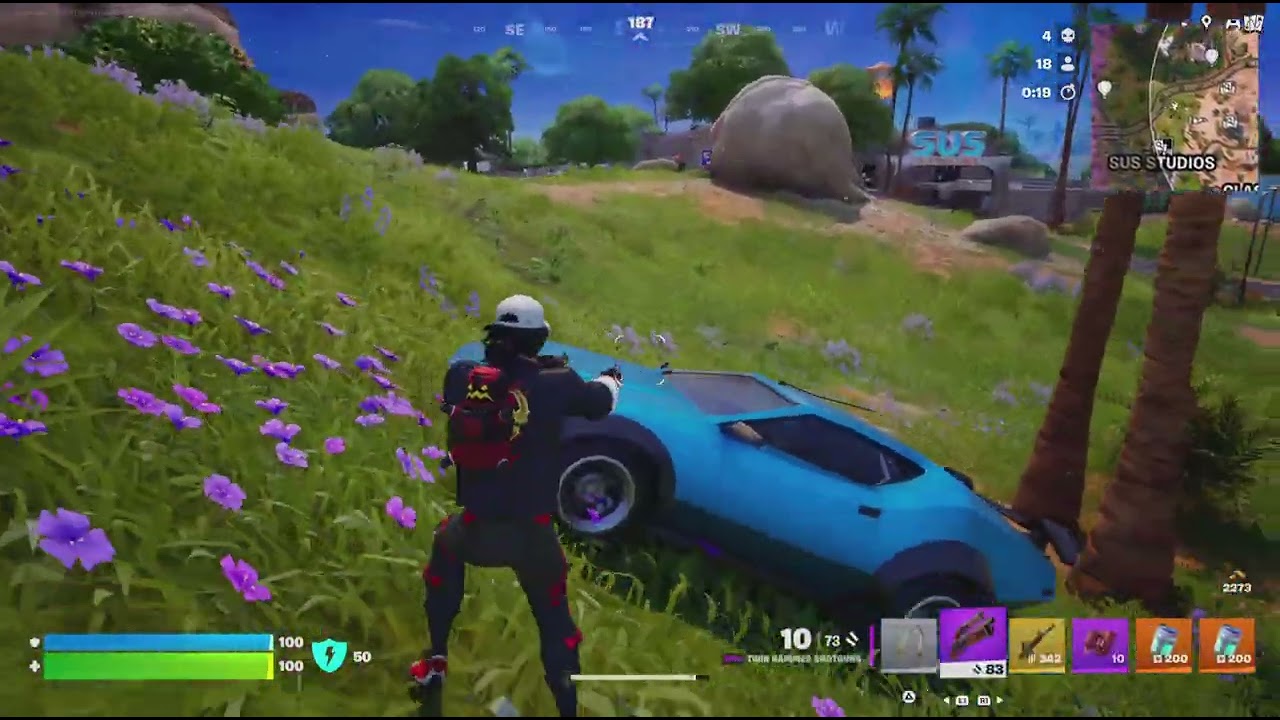 Fortnite: Carter