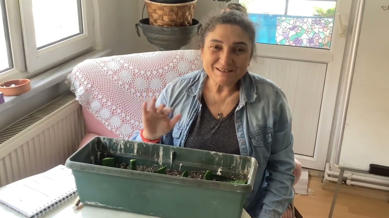 Peygamber kılıcı çiçeği ile nasıl dilek dilersiniz ❤️ Açıklamaya bakın❤️ Yorumları bekliyorum ❤️