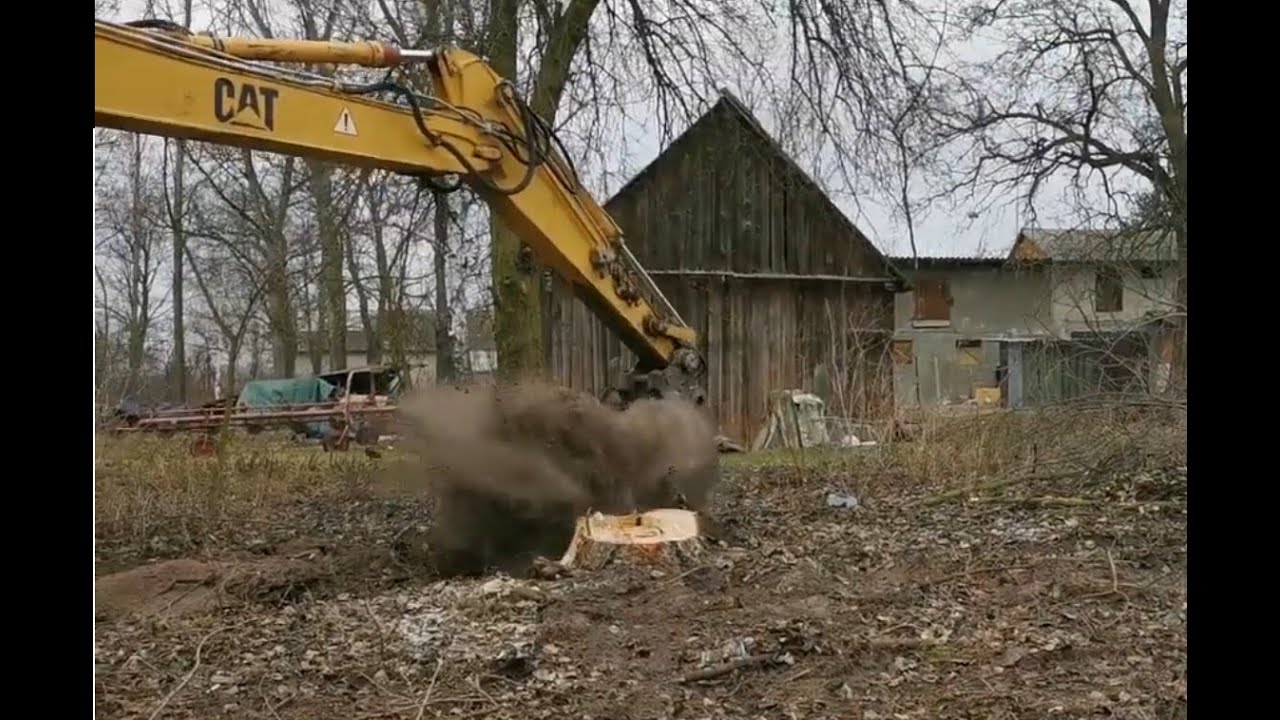 Koparka CAT (Wyrywanie pni topoli)