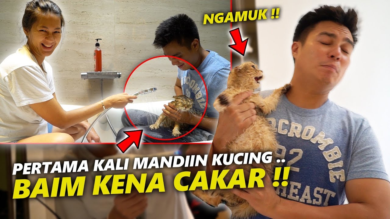 GOLDIE NYAKAR BAIM !! PERTAMA KALI BAIM SAMA PAULA MANDIIN KUCING !!