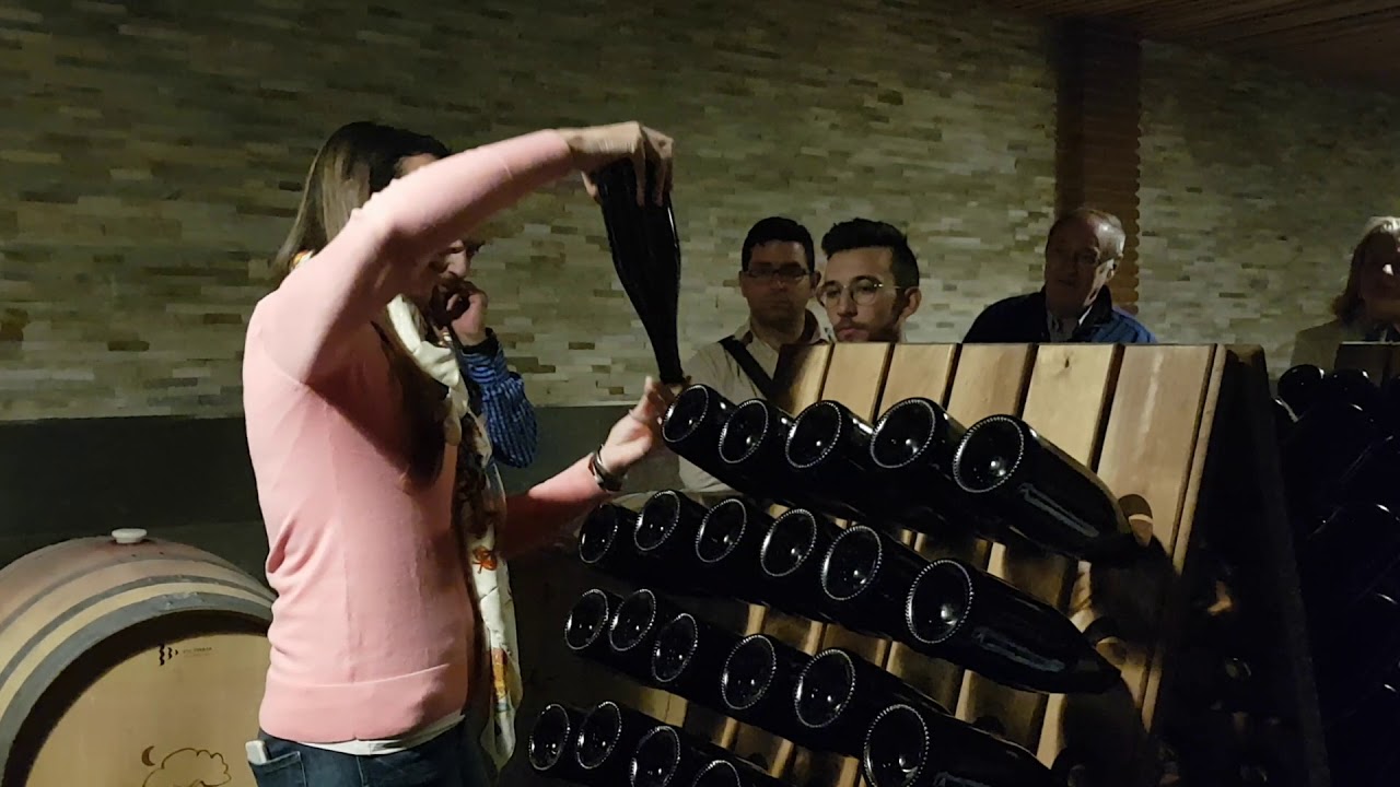 M&eacute;todo Tradicional Espumosos. Escuela Europea del Vino