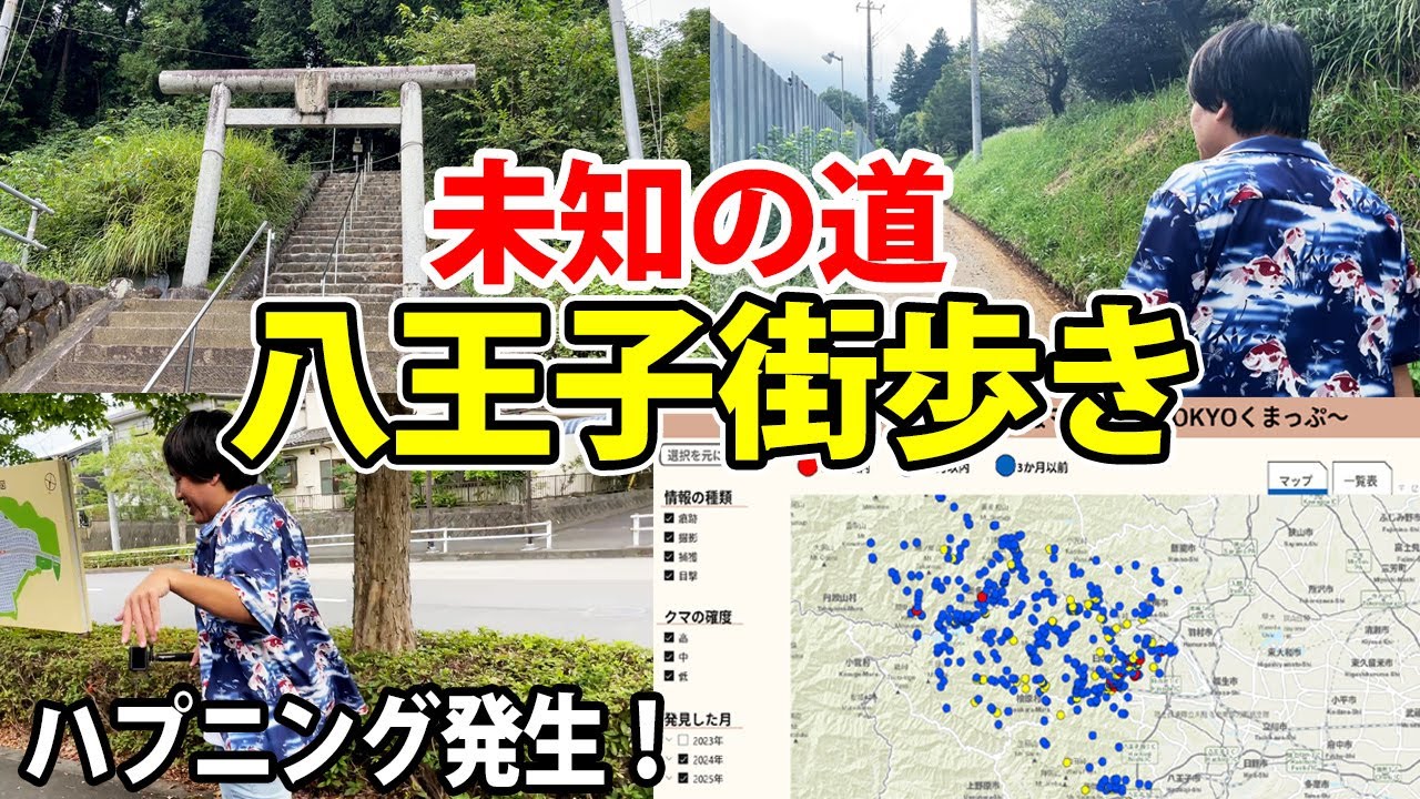 【街歩き】八王子の見知らぬ街を歩いたら○○と遭遇！！