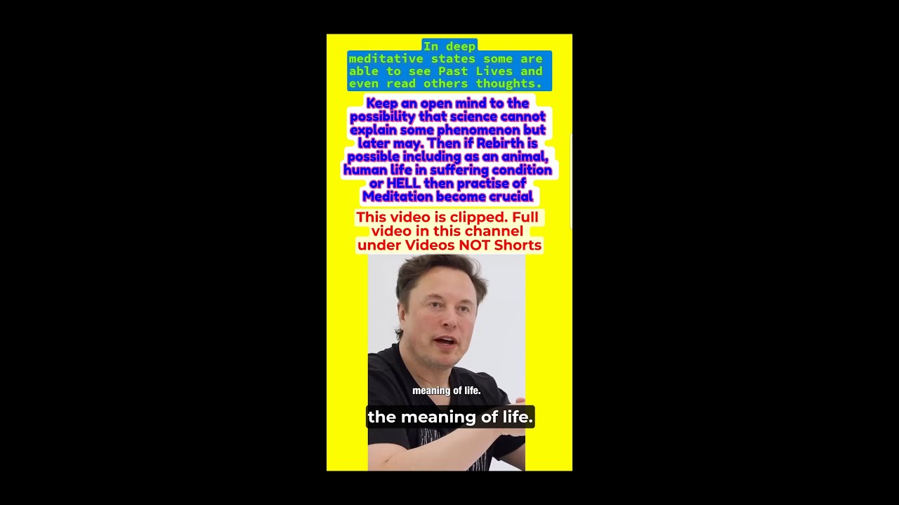 ELON confused on Purpose of Life [Buddhism]