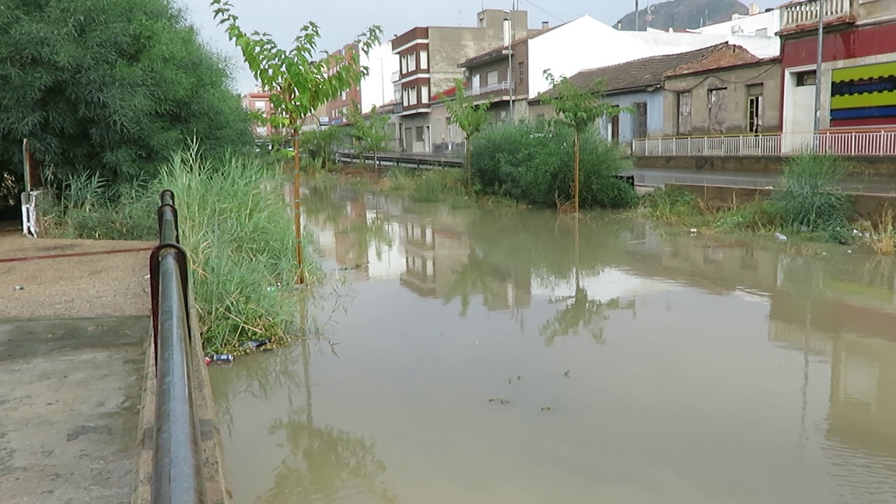 Beniaj&aacute;n via verde inundada