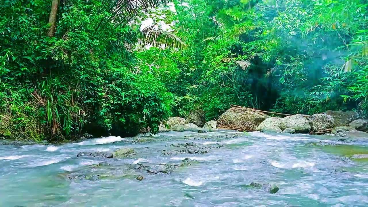 Soothing Nature Sounds for Relaxation, Gentle River Flow, ASMR