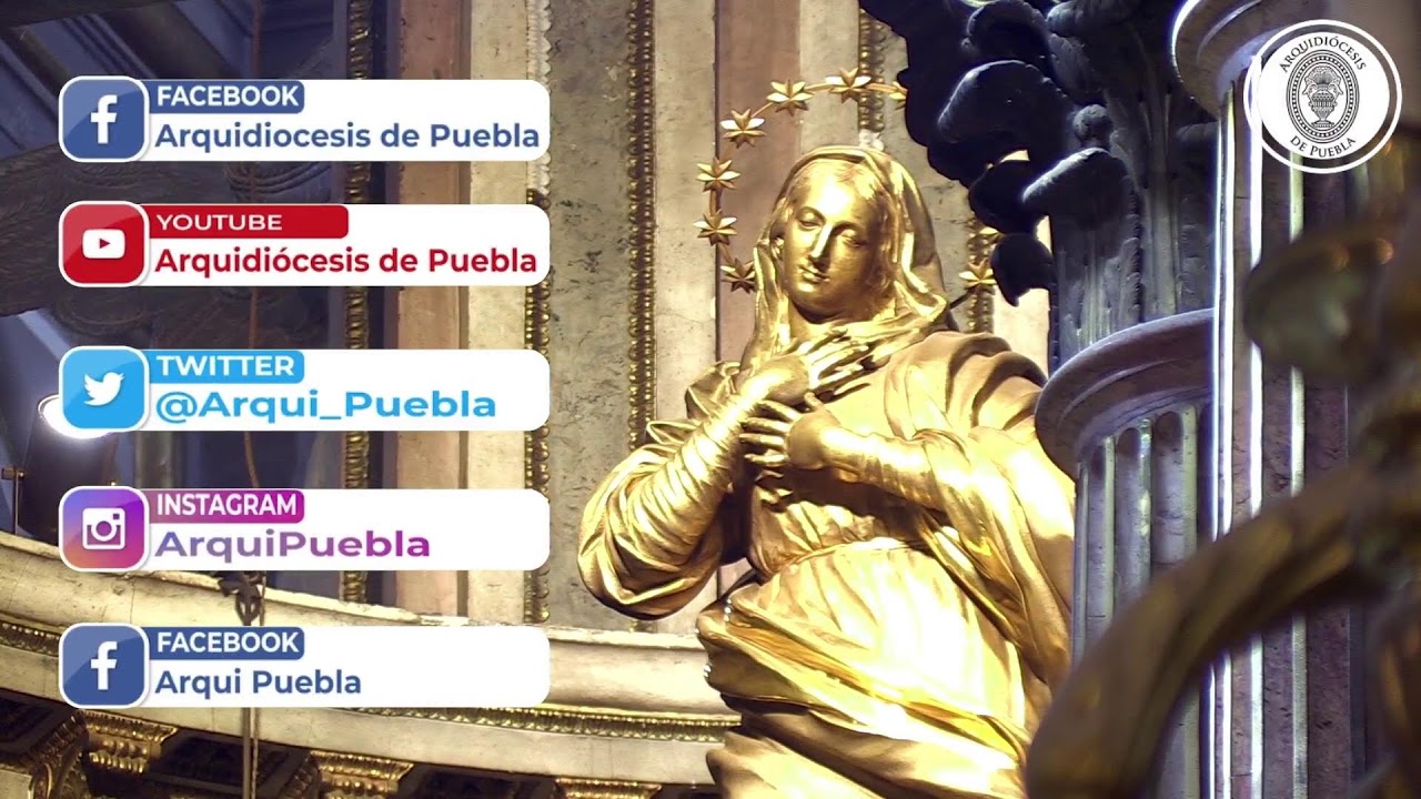 🔴 EN VIVO | Santa Misa 15 de febrero 2026 | VI Domingo Tiempo Ordinario