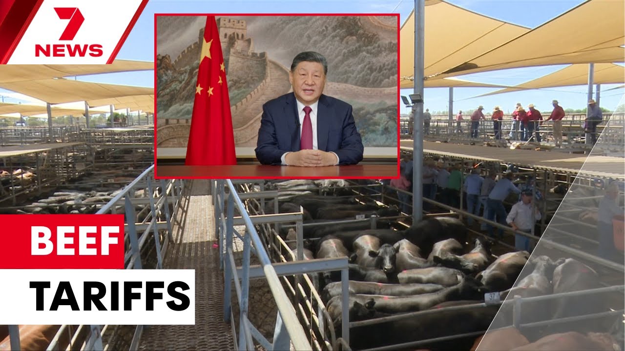Beijing slaps new tariffs on global beef imports, costing Australian producers $1 billion | 7NEWS