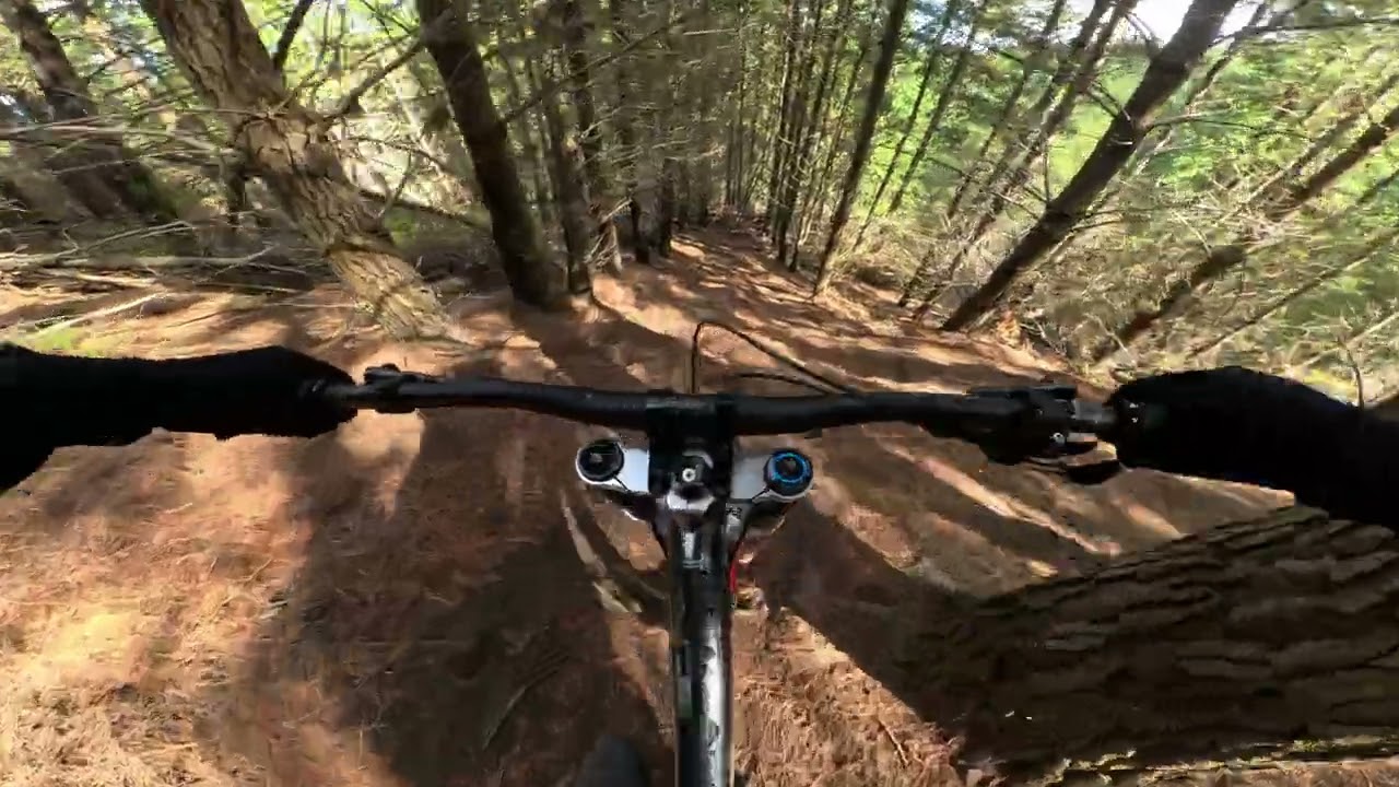 Great Day Out- New Double Black Trail, Christchurch Adventure Park