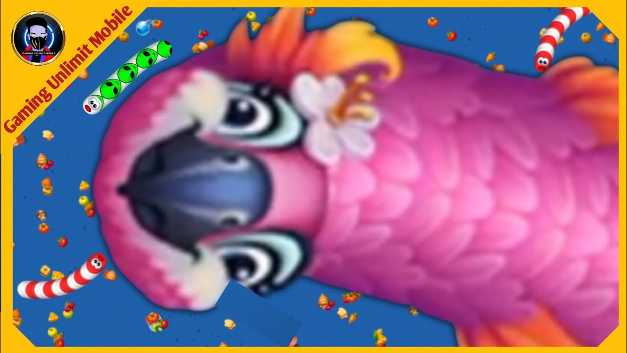 🐍WORMS ZONE. IO | GIANT SLITHER SNAKE TOP 01 / Best Gameplay! 2025 | gaming unlimit mobile 