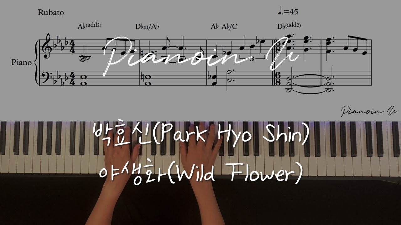 박효신(Park Hyo Shin) - 야생화(Wild Flower) / Piano Cover / Sheet