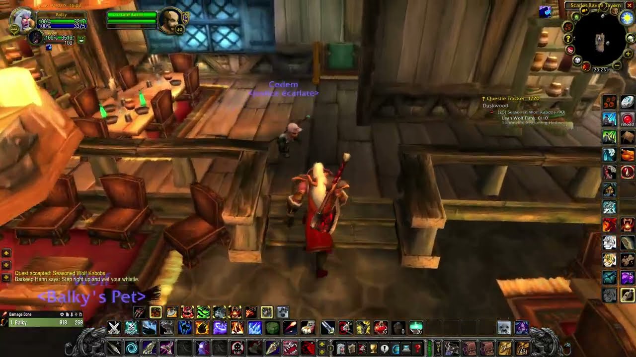 Seasoned Wolf Kabobs (WOW classic quest)