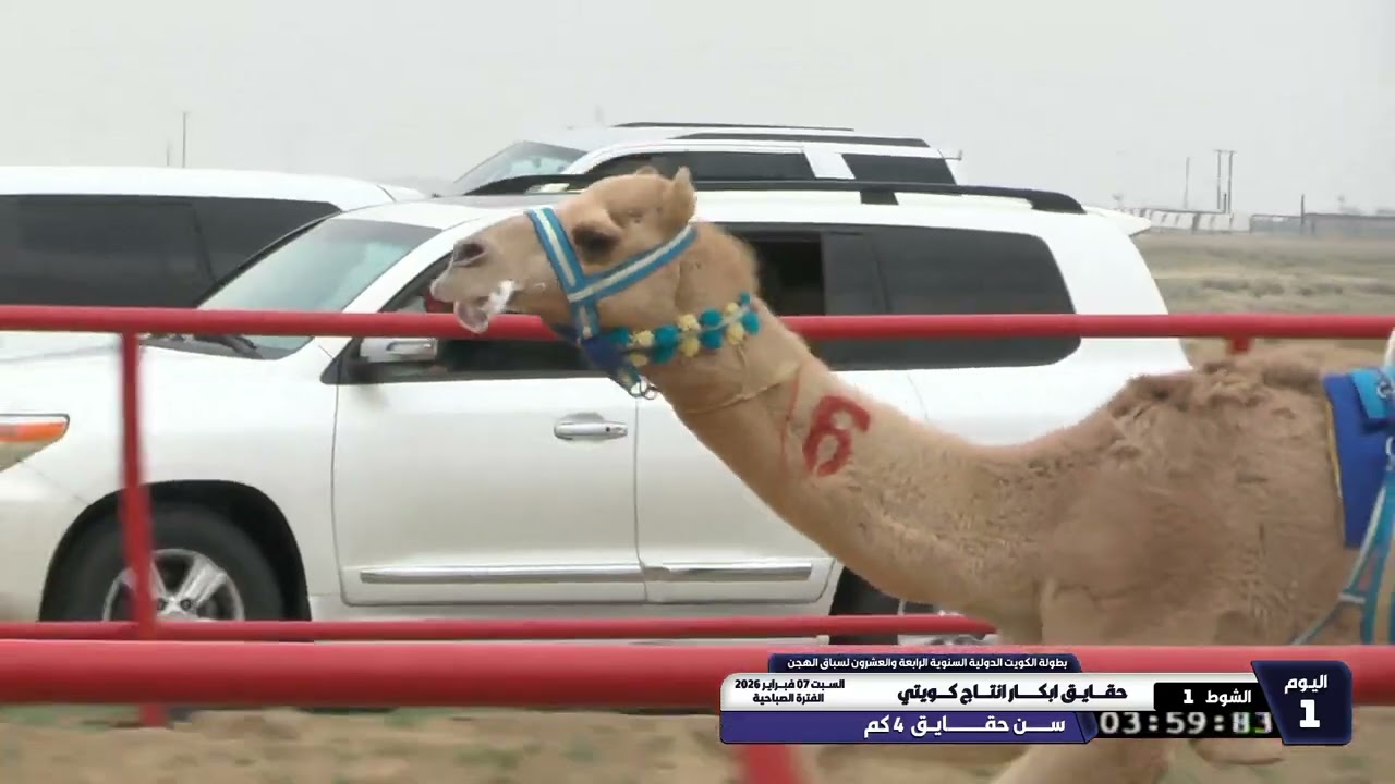 1 الشوط الأول حقايق ابكار انتاج كويتي السبت 07 02 2026