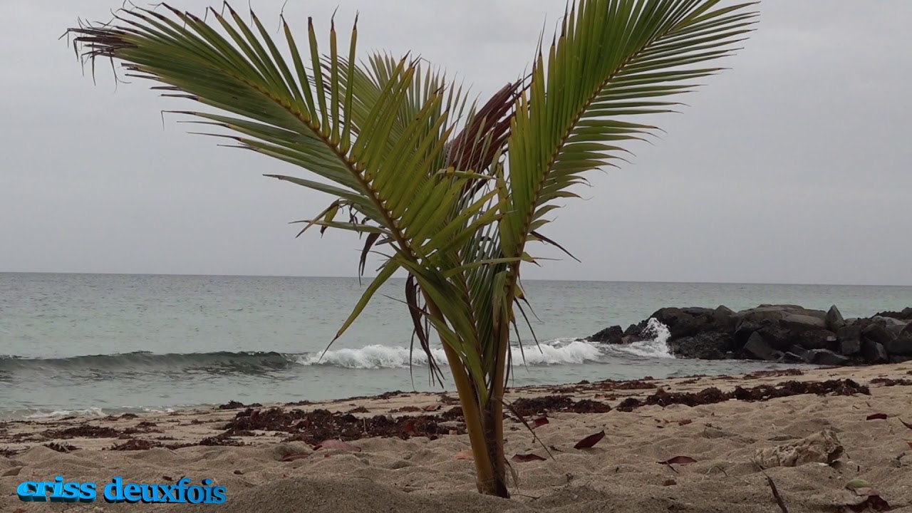 Ambiance Bruit de la Plage Gros Raison en Martinique ; To Relax ; Zen ; Les Antilles ; 972 ; France