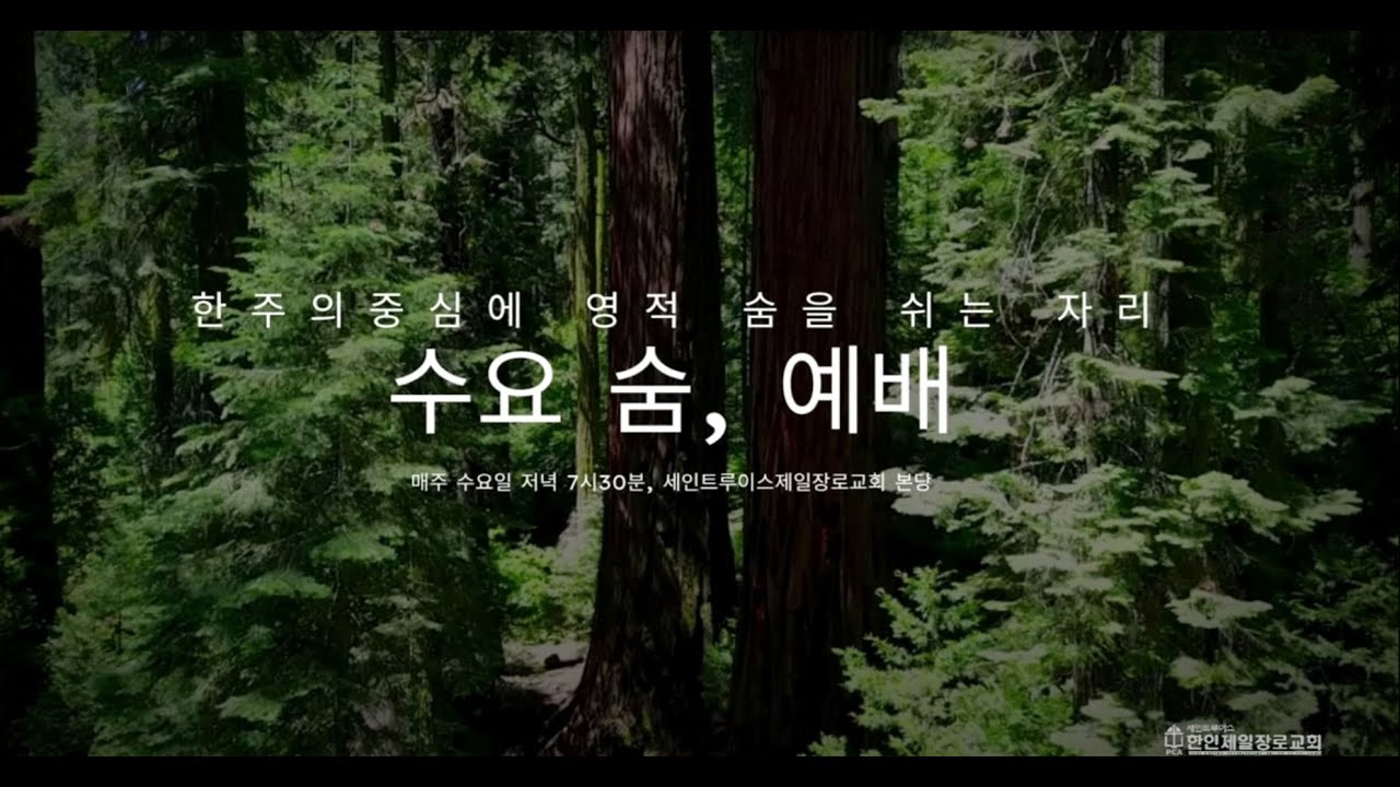 [2026년 1월28일] 수요숨예배 미션 선교준비-아름다운 소식을 전하는 이유?(열왕기하7:9)