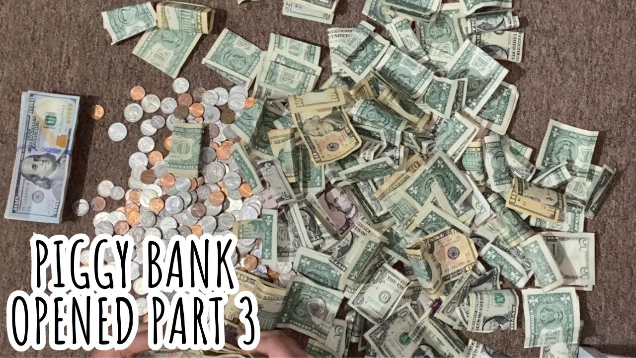 Piggy Bank Opened | August 2023 | Part 3 | Savings