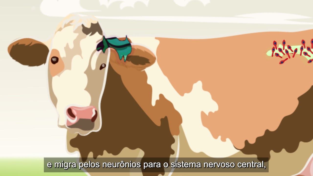 Minuto Previna – Conhecendo as Doenças Clostridiais: Tétano