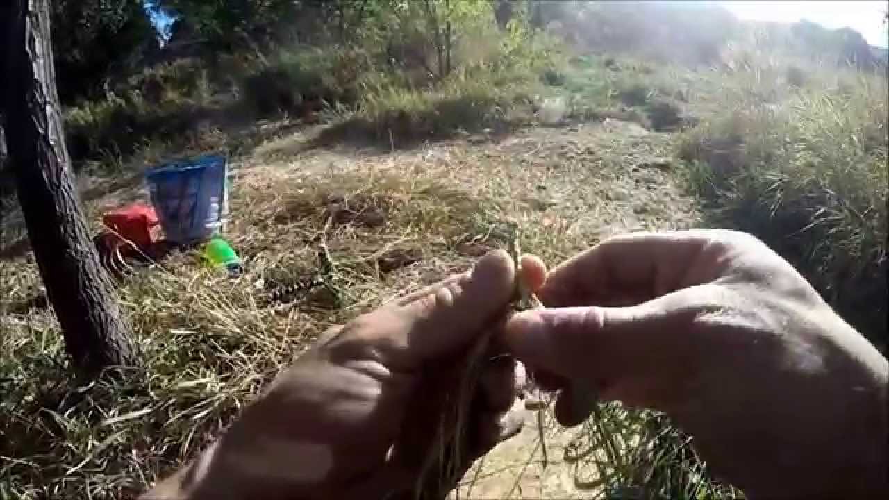 Two Ply Reverse Wrap Cordage and Splicing with Yucca Fibers
