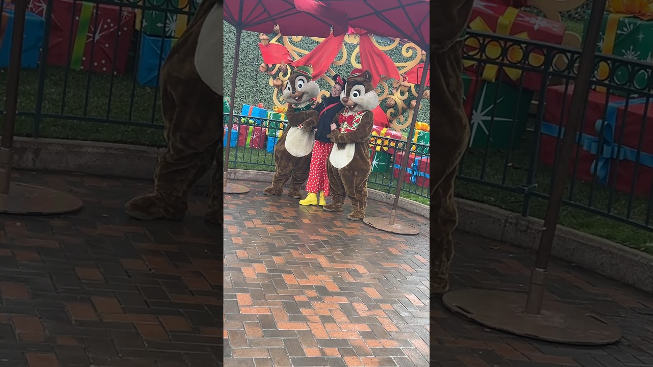 🐿️🐿️ Rencontre avec Tic & Tac, pdt mon Noël 2025 at home (fin d’année 2025) 🥰✨🐿️📸 🎅🎄🎁