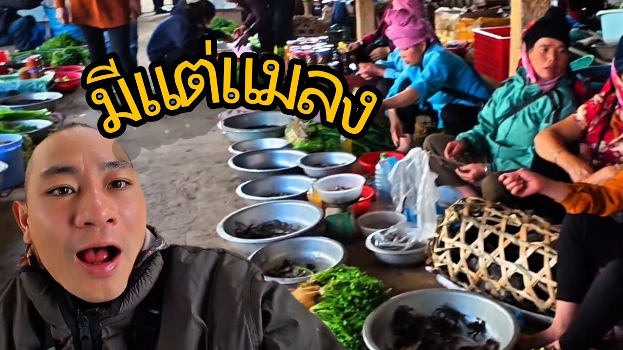 ตลาดแมลงที่ชาวเขาเวียดนาม | Tiks Vlog