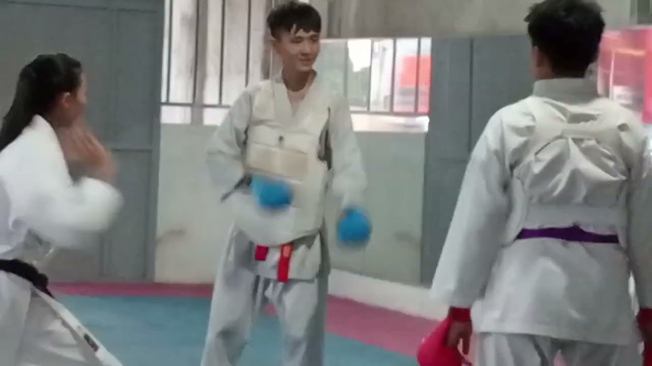 Nhật kí, bé thùy tivi 