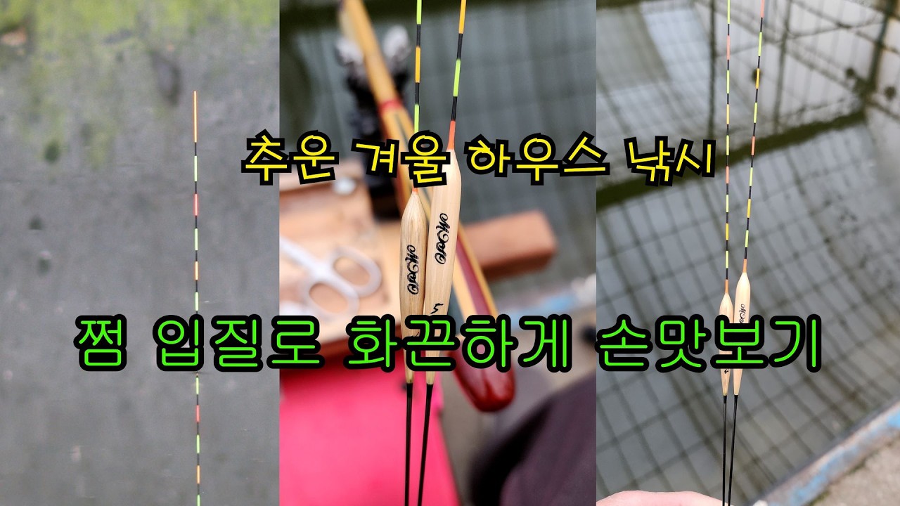 추운 겨울 붕어 입질 보기 힘든시기 그래도 붕어는 나온다#미소레져