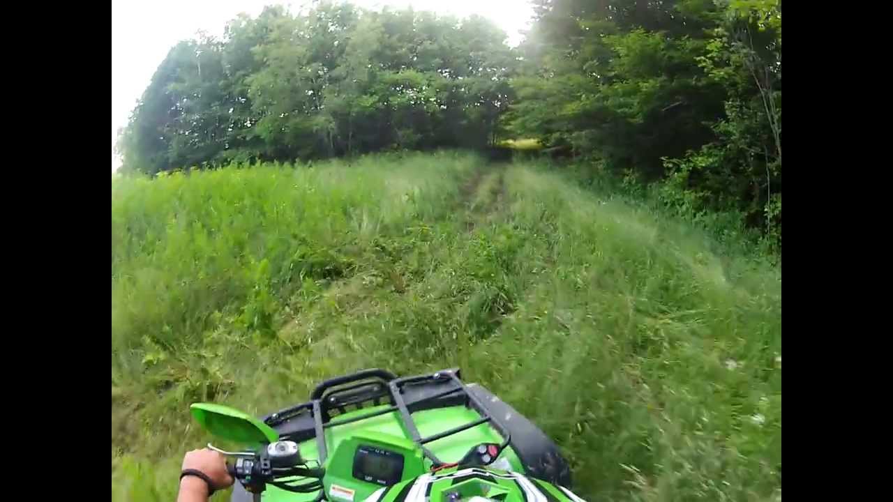 2004 ArcticCat 650 v2