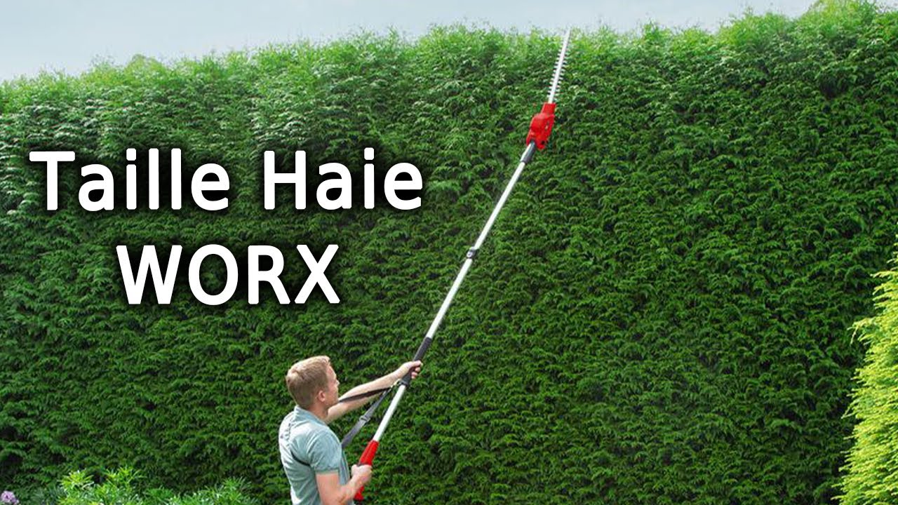 Taille-Haie T&eacute;lescopique Worx : L&eacute;ger et Puissant !