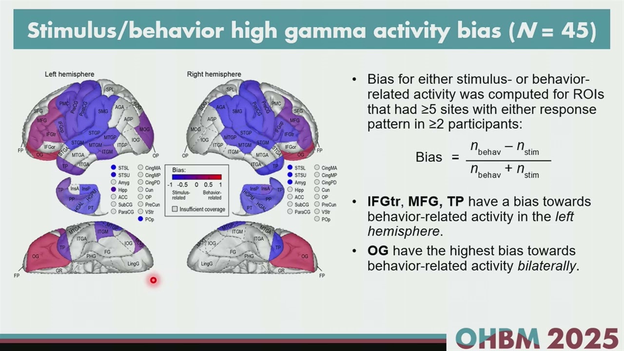 OHBM 2025 | Oral Session | Kirill Nourski | Transformation of Stimulus Representation along the Co…