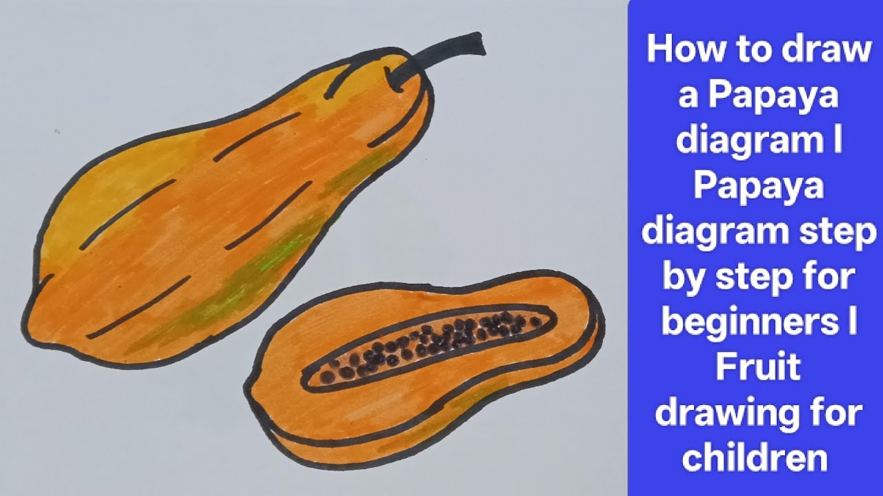 How to draw Papaya fruit l Fruits drawing and colouring videos for children l stepbystep papaya art