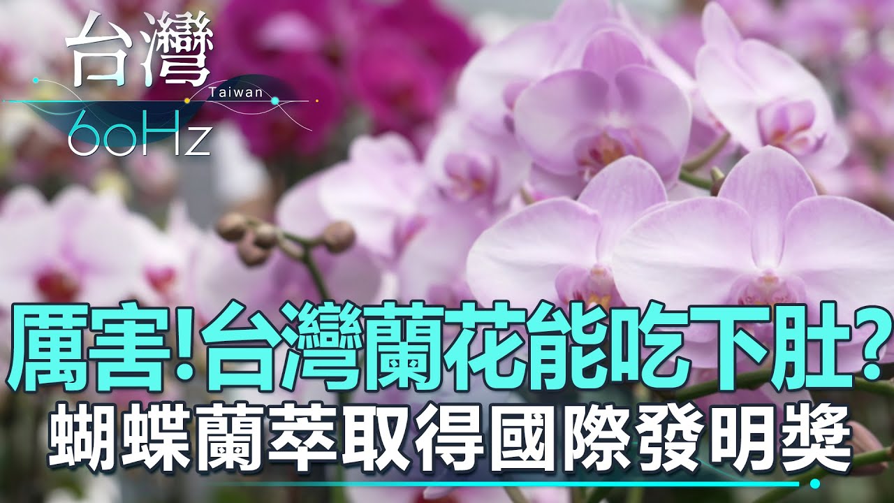 【台灣60Hz】厲害！台灣蘭花能吃下肚？蝴蝶蘭萃取得國際發明獎｜廖慶學 2022.07.30 part2