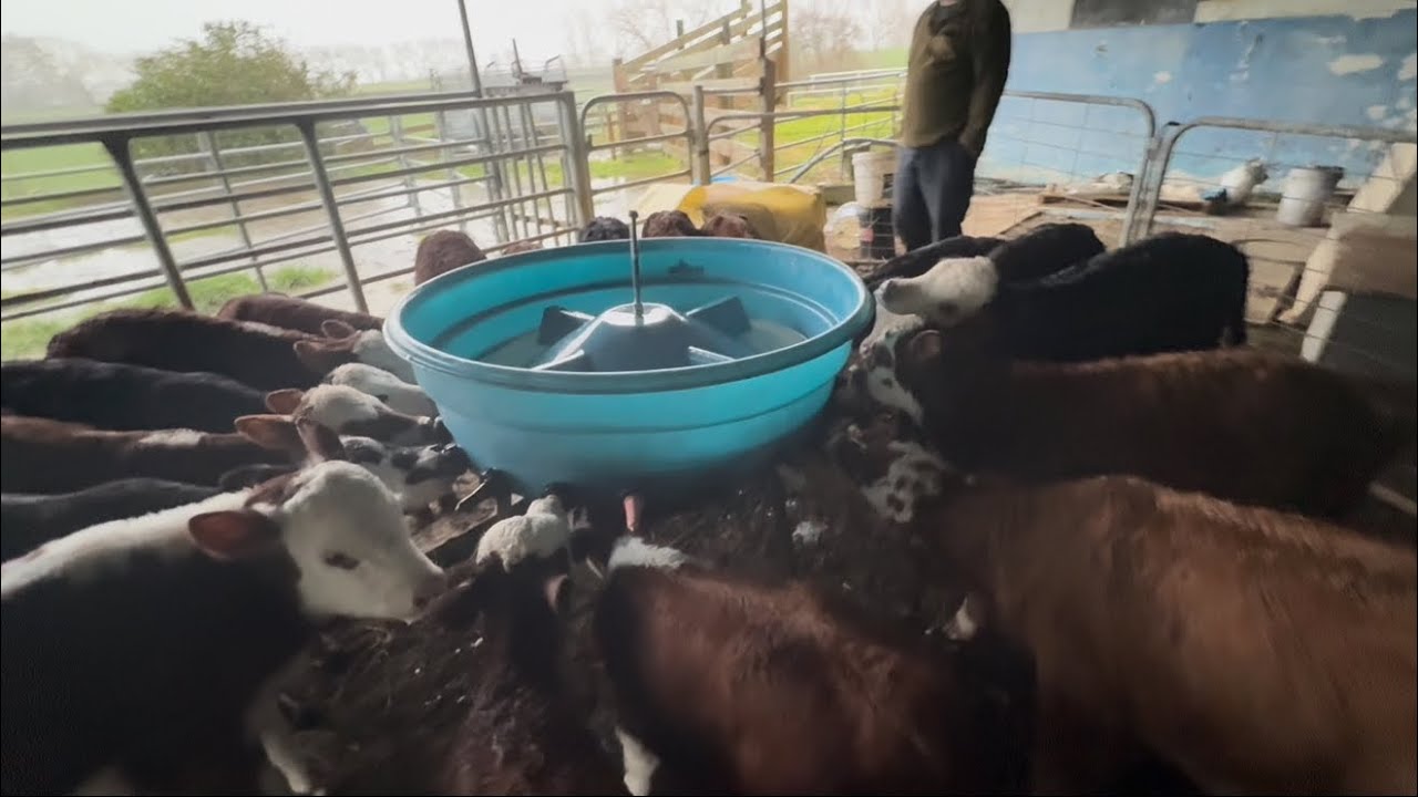 Windy Day 80km Gusts And Gnarly Rain Bands 