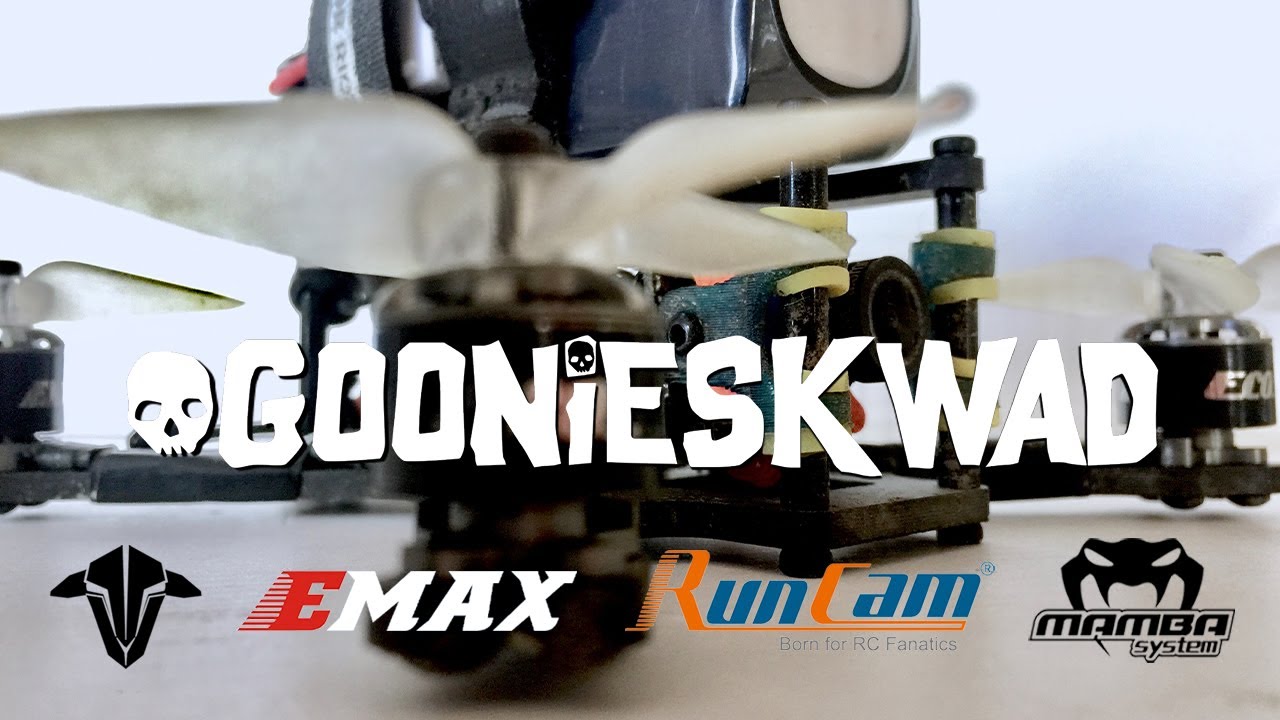 goon game of kwad - (micro) perch #goonskwad FPV ドローン freestyle