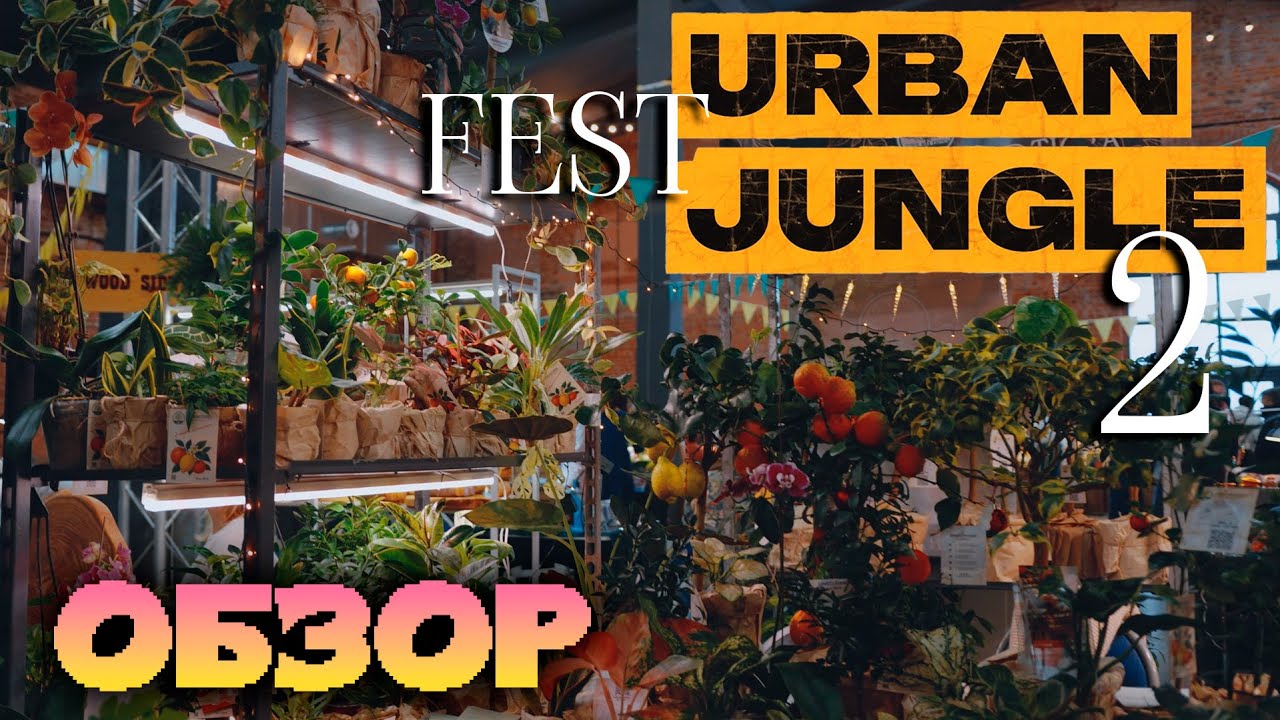 URBAN JUNGLE Fest 2. Обзор фестиваля!