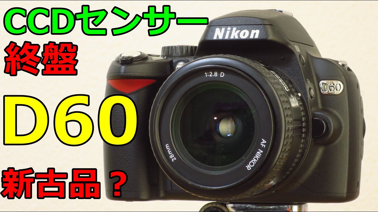 【ジャンク一眼レフ】3465円 NIKON D60 動作検証・作例 CCDセンサー終盤の貴重な一眼レフ シャッター回数238枚の極上品