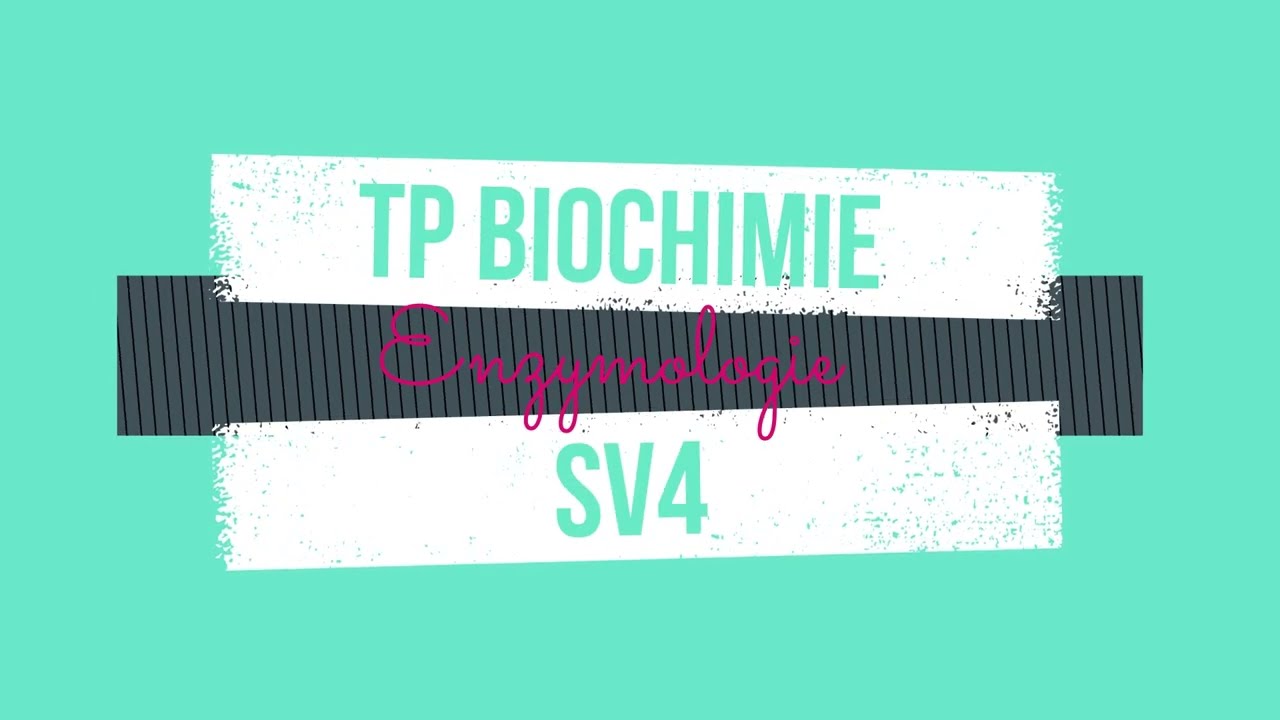 TP1-1 Biochimie : Détermination de la vitesse initiale d'une réaction enzymatique
