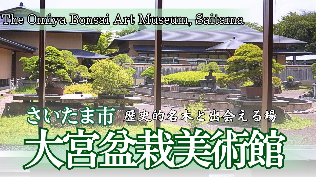 さいたま市 大宮盆栽美術館～歴史的名木が揃う日本唯一の盆栽美術館～