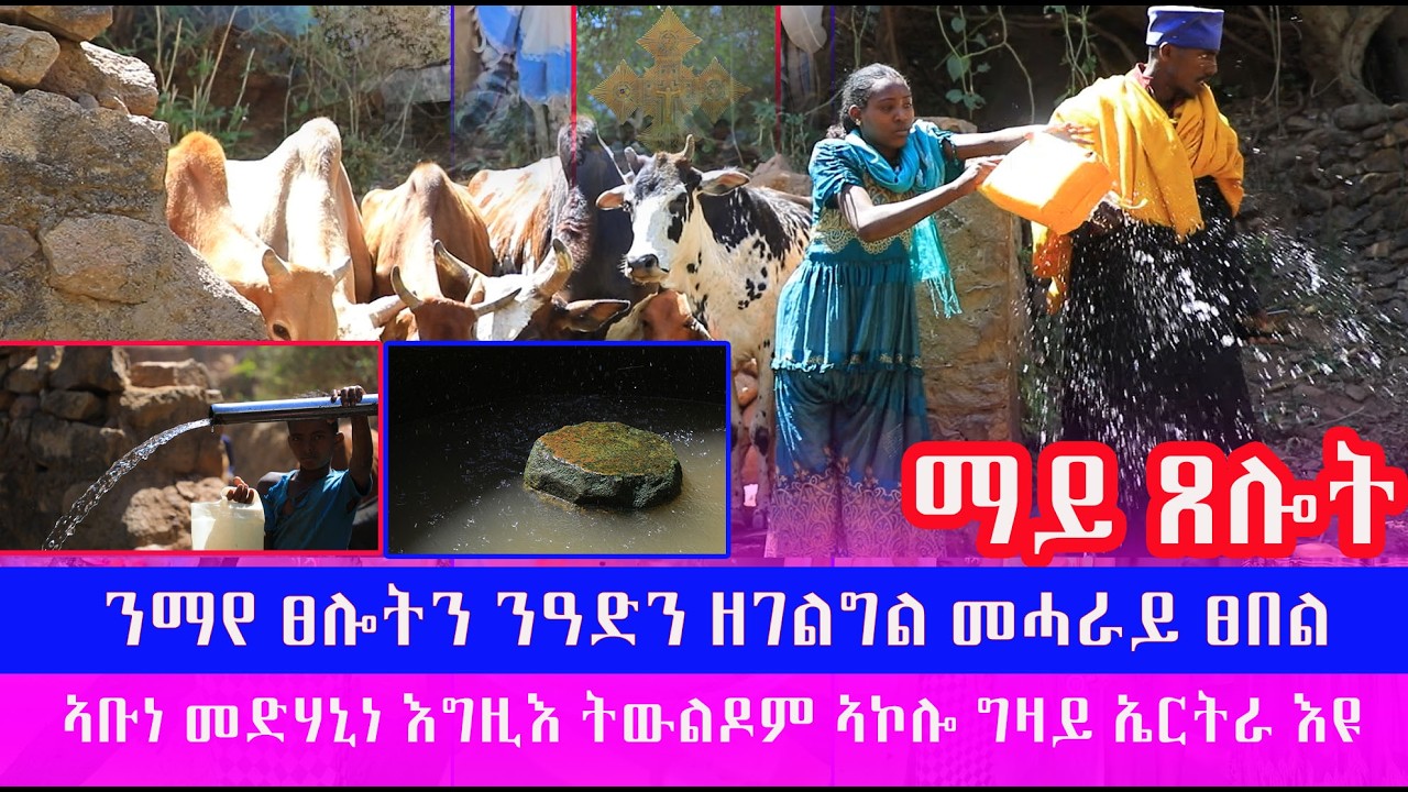 ፈዋሳይ ፀበል ኣቡነ መድሃኒነ እግዚእ ዓዲ ተኽሊ ፃድቕ ኣቦና ካብ ኤርትራ ኣኮሎ ግዛይ እዮም ትውልዶም ቅዱሳን ዓዲ የብሎሙን ዘብል ውን ንሱ እዩ ኩሉ ዓዶም