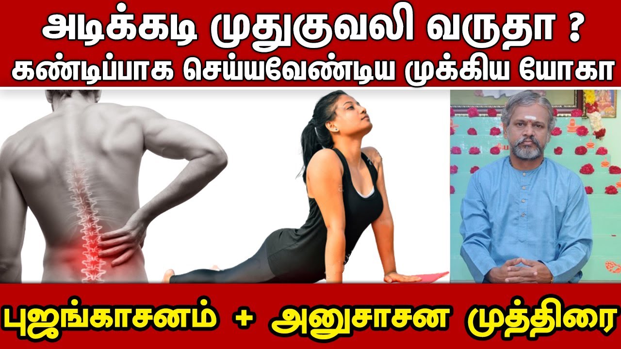அடிக்கடி முதுகுவலி வருதா ? புஜங்காசனம் + அனுசாசன முத்திரை | Krishnan Balaji | Bhujangasana