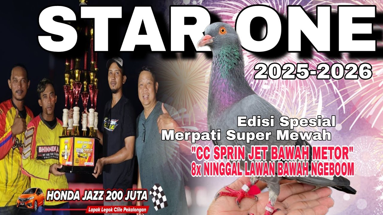 Pancen Orak Umom💥 Star One Merpati Terbaik Saat Ini !!Sang Juara Mobil Jazz Pekalongan