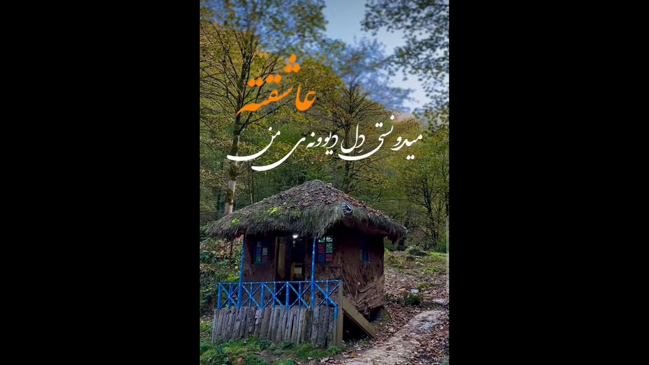میدونی نستی که دل دیونه من عاشقته