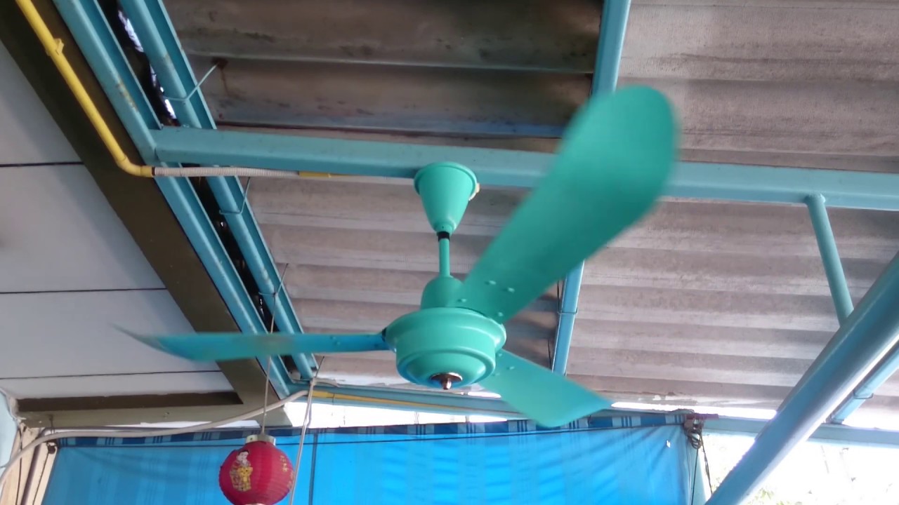 YACHICA 56