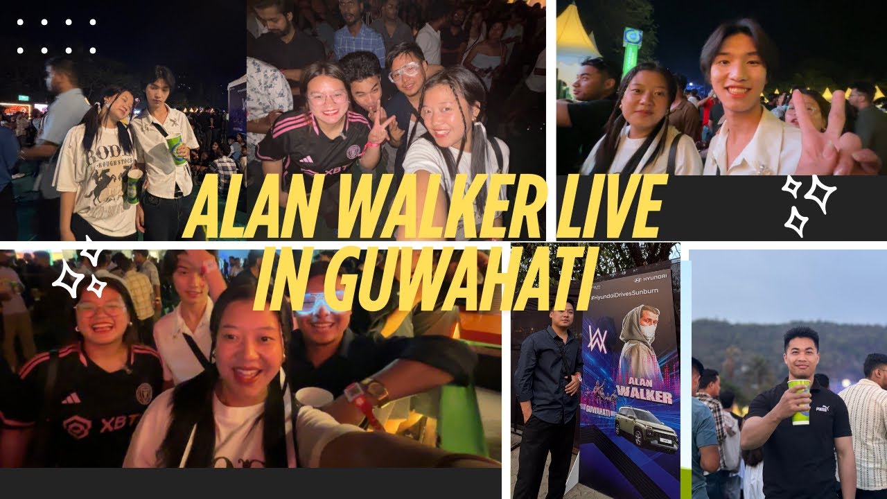 ALAN WALKER LIVE CONCERT IN 